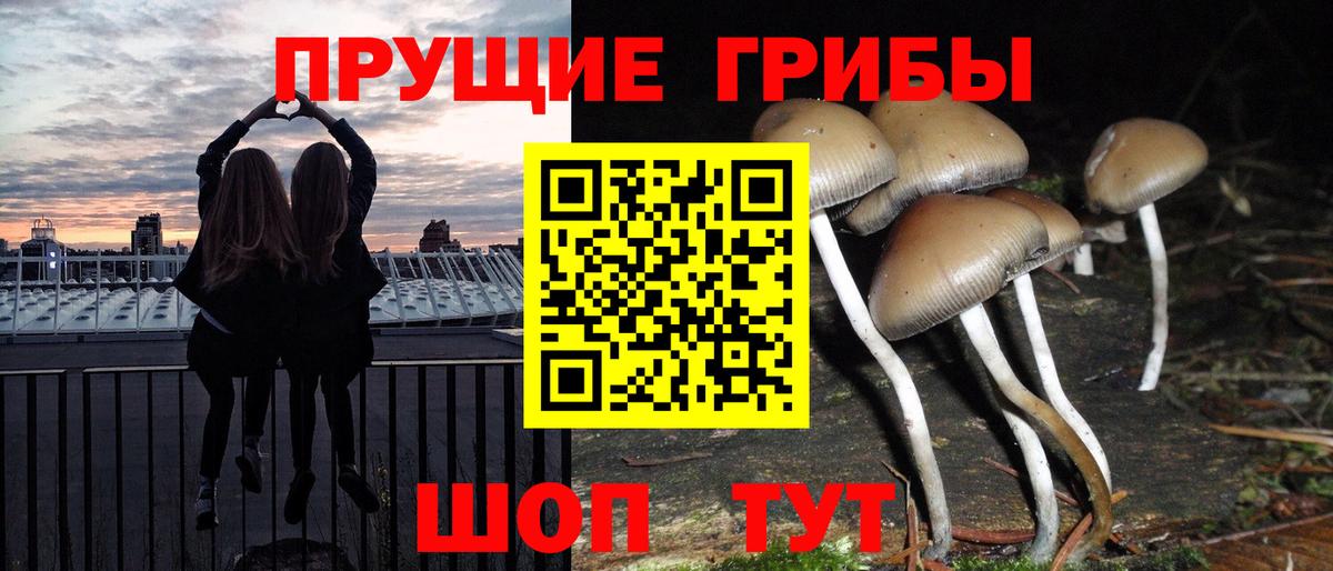 Галлюциногенные грибы Magic Shrooms  Галлюциногенные грибы Psilocybine cubensis  сколько стоит  Грозный  Вход с VPN 